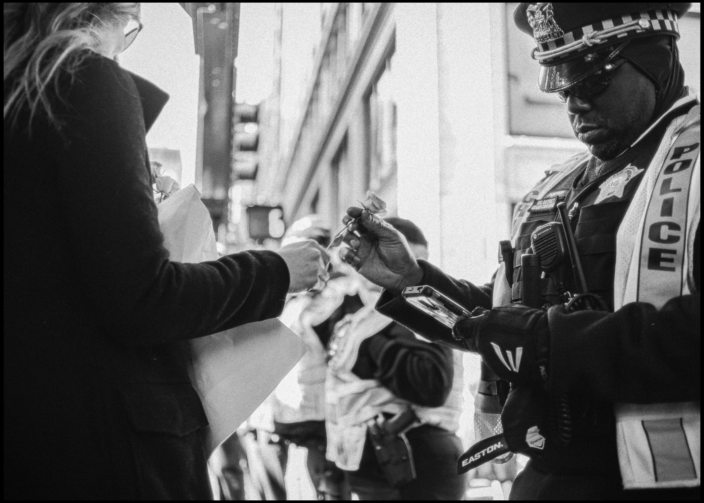 Flower near police line at the Women's March, Chicago 2017