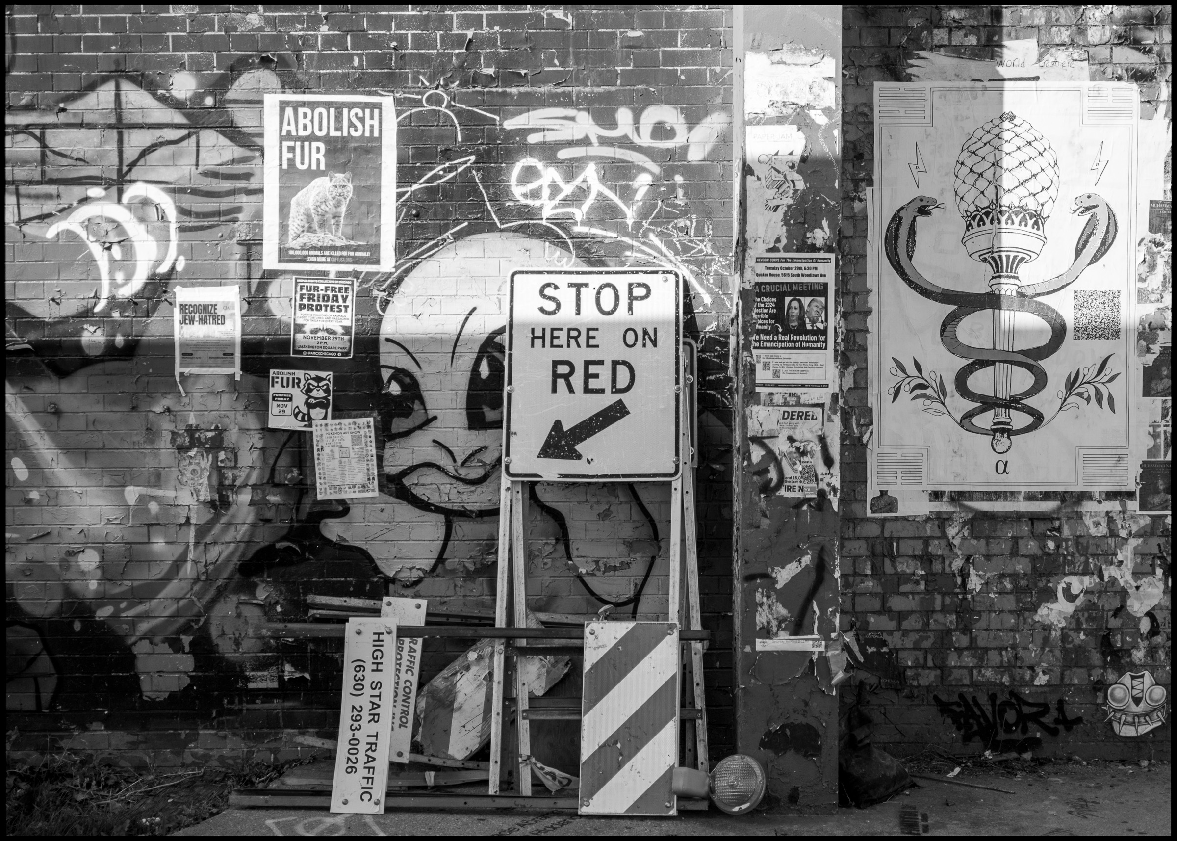 Wall texture in Logan Square Chicago 2024